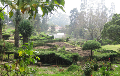 Chettiar Park Kodaikanal