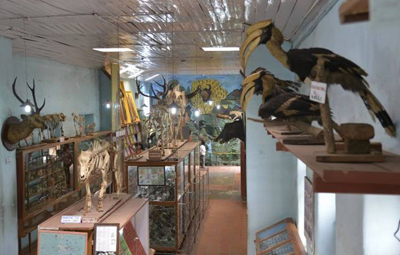 Shembaganur Museum of Natural History Kodaikanal