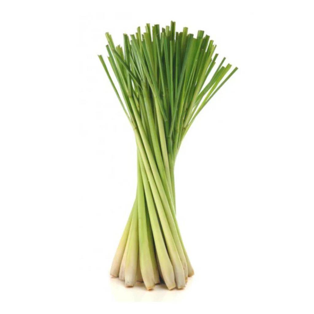 Lemon Grass Kodaikanal